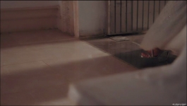 Teri Meri Dooriyan - 12th April 2024